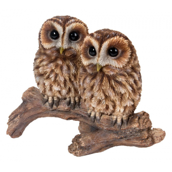 Vivid Arts Tawny Owls on Branch (Size D)