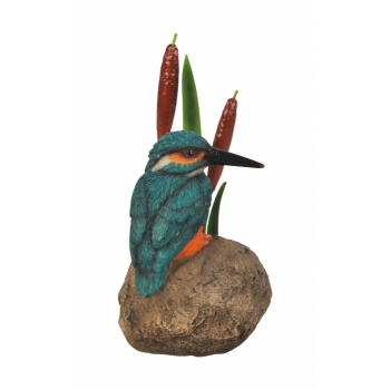 Vivid Arts Kingfisher on Stone with Bulrush (Size F)