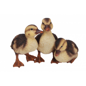 Vivid Arts Real Life Group of Three Ducklings (Size D)