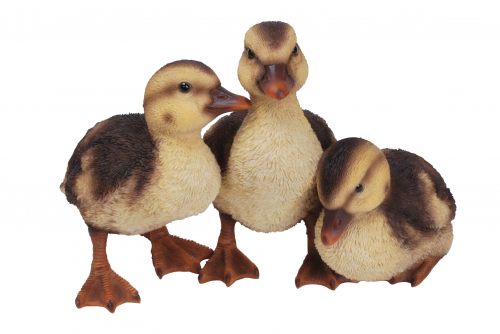 Vivid Arts Real Life Group of Three Ducklings (Size D)