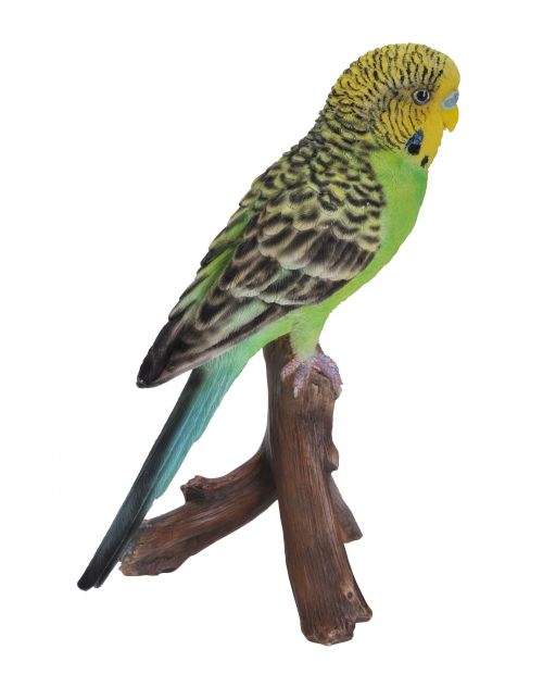 Vivid Arts Pet Pals Green Budgerigar (Size F)