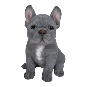 Vivid Arts Pet Pals Blue French Bulldog (Size F)