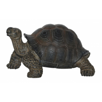 Vivid Arts Pet Pals Baby Tortoise (Size F)