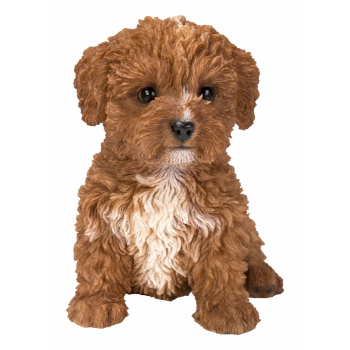 Vivid Arts Pet Pals Chocolate Cavapoo (Size F)