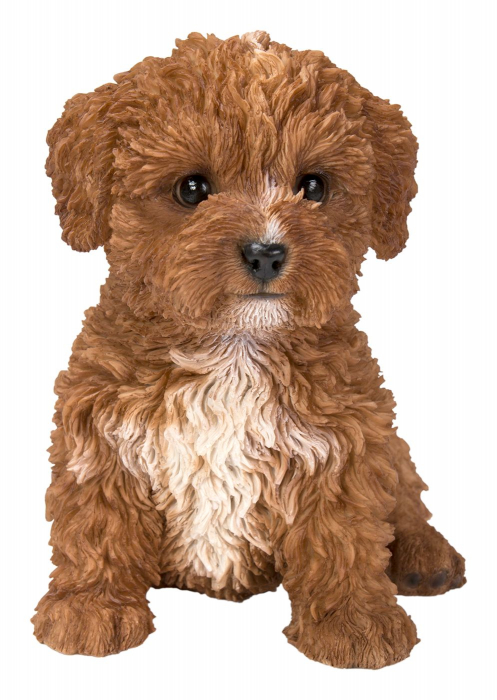 Vivid Arts Pet Pals Chocolate Cavapoo (Size F)