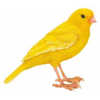 Vivid Arts Pet Pals Canary (Size F)