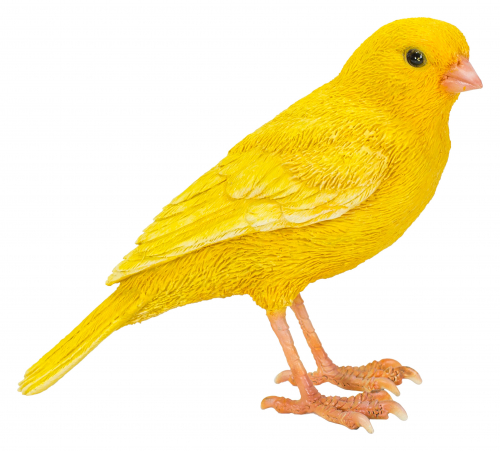 Vivid Arts Pet Pals Canary (Size F)