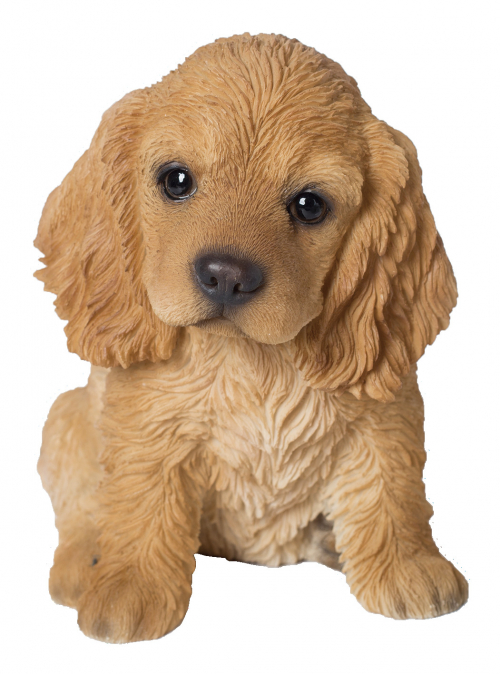 Vivid Arts Pet Pals Golden Cocker Spaniel Puppy (Size F)