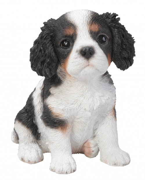 Vivid Arts Pet Pals Black/White King Charles Puppy (Size F)