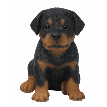 Vivid Arts Pet Pals Rottweiler Puppy (Size F)