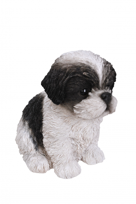 Vivid Arts Pet Pals Black/White Shihtzu Puppy (Size F)