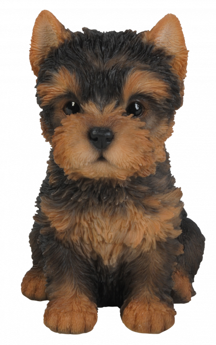 Vivid Arts Yorkshire Terrier Puppy (Size F)