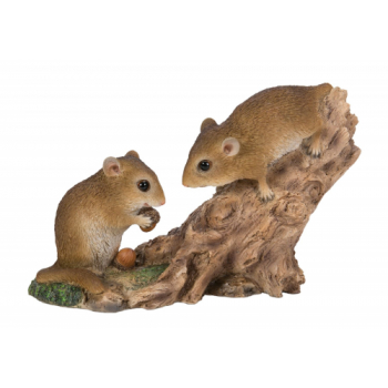 Vivid Arts Real Life Playful Dormice (Size D)