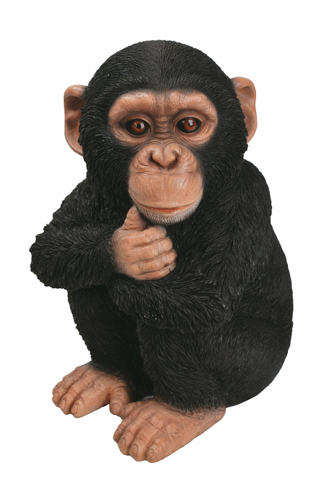 Vivid Arts Real Life Baby Chimpanzee (Size F)