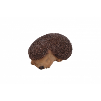 Vivid Arts Real Life Sleeping Baby Hedgehog (Size F)