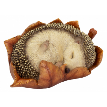 Vivid Arts Real Life Young Hedgehog in Leaf (Size D)