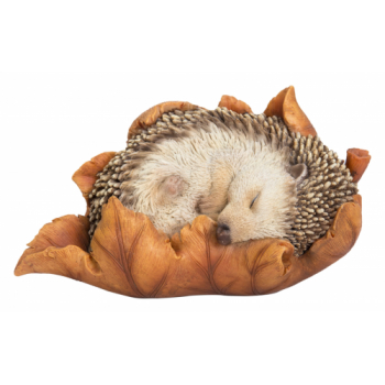 Vivid Arts Real Life Baby Hedgehog in Leaf (Size F)