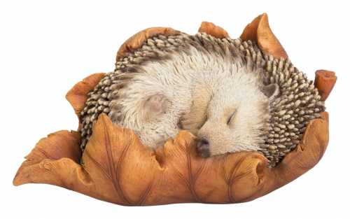 Vivid Arts Real Life Baby Hedgehog in Leaf (Size F)