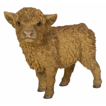 Vivid Arts Real Life Highland Calf (Size D)