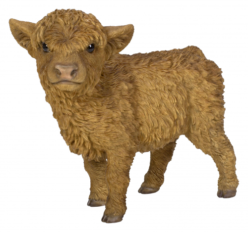 Vivid Arts Real Life Highland Calf (Size D)