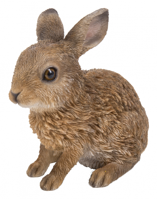 Vivid Arts Real Life Sitting Leveret (Size E)