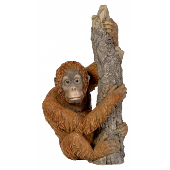 Vivid Arts Real Life Climbing Baby Orangutan (Size F)