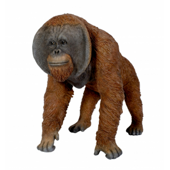 Vivid Arts Real Life Active Orangutan (Size D)