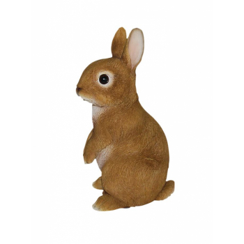 Vivid Arts Real Life Young Rabbit (Size E)