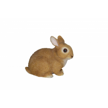 Vivid Arts Real Life Young Sitting Rabbit (Size E)