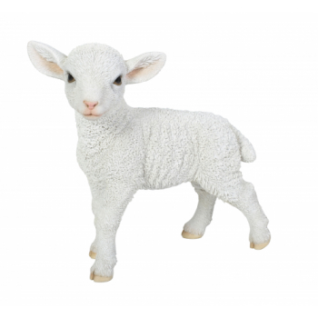 Vivid Arts Real Life Standing Lamb (Size D)