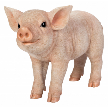 Vivid Arts Real Life Standing Pig (Size D)