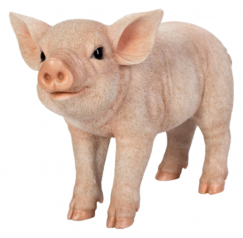 Vivid Arts Real Life Standing Pig (Size D)