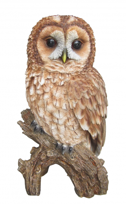 Vivid Arts Real Life Tawny Owl (Size F)