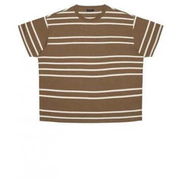 Plus Size Mink Stripe Short Sleeve T-Shirt