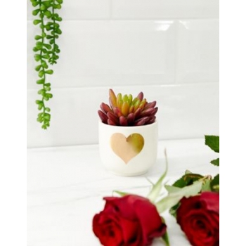 Sass & Belle heart mini planter