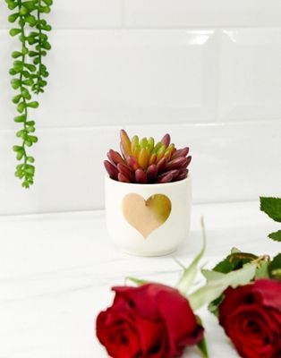 Sass & Belle heart mini planter