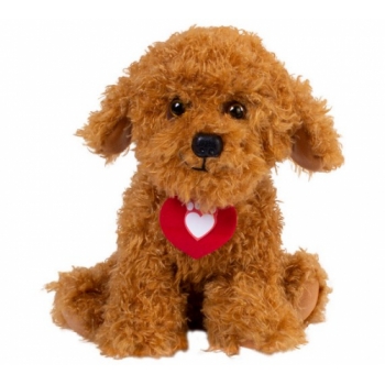 Waffle the Wonder Dog Soft Toy