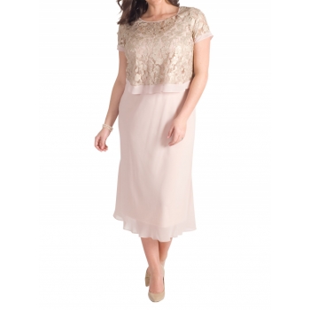 Chesca Trellis Applique Lace And Chiffon Dress, Blush