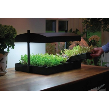 Garland Grow Light Garden