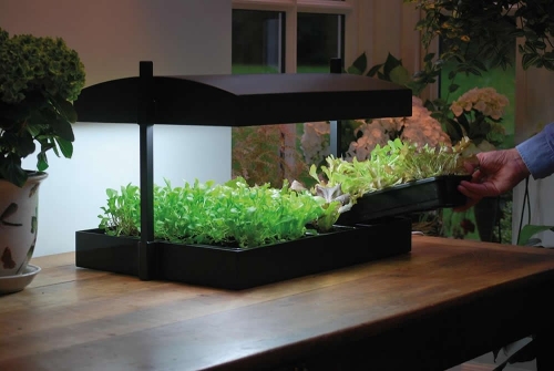 Garland Grow Light Garden