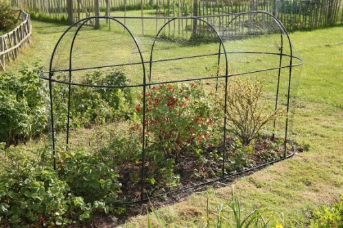 Haxnicks Steel Long Fruit Cage