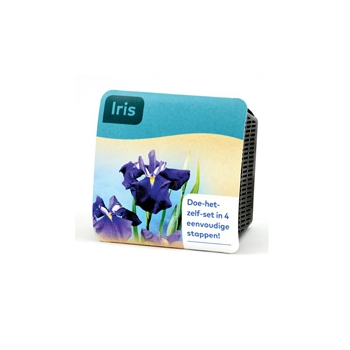 Moerings Iris Pond Plant in a Basket (Purple, x2)