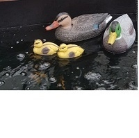 PondXpert Decorative Duck (Female)