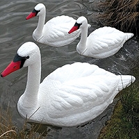 PondXpert Ornamental Floating Swan (Family)