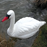 PondXpert Ornamental Floating Swan (Large)