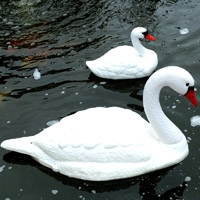 PondXpert Ornamental Floating Swan (Pair)