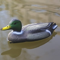 Velda Floating Duck (Male)