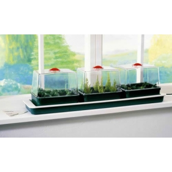 Garland Trio Top Windowsill Propagator