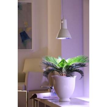 Bio Green Artificial Growing Light