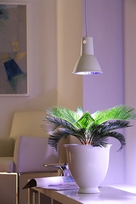 Bio Green Artificial Growing Light